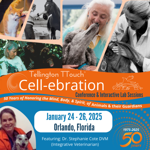 CELLebration Learning 3-Day Conference & Interactive Workshops