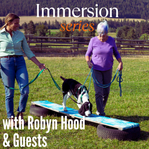Interactive & Online Tellington TTouch® for Dogs