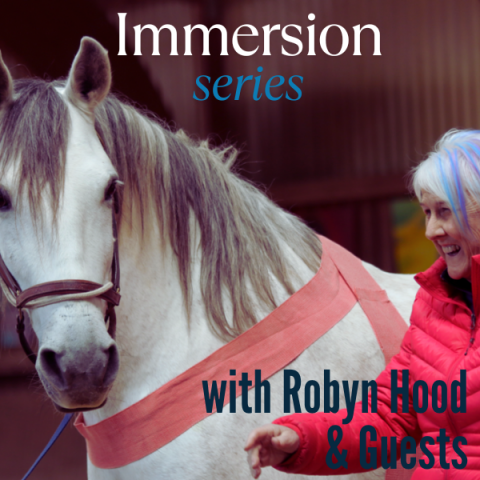 Interactive & Online Tellington TTouch® for Horses