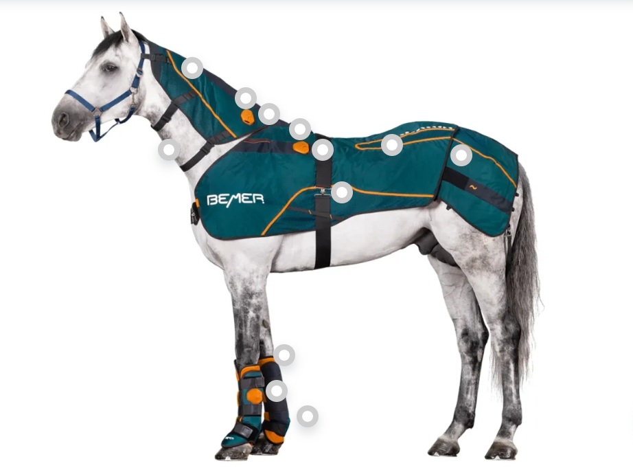 Horse with BEMER blanket therapy set